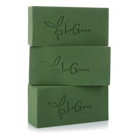 LaGreen Floral Foam Pack of 3 - Floral Sponge for Fresh Flowers, Dried Flowers, Flower Arrangements and Advent Wreath - 20 x 10 x 7 cm (Green)