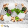 Finoly Large Natural Shells Pack 4/8/12/16 Pieces for Kitchen Decoration