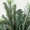 Unbranded Set of 2 Snowy Artificial Mixed Pine 29" Sprays