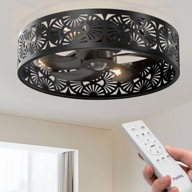 Passky 20" Fandelier Ceiling Fan with Light, Caged Bladeless Ceiling Fans with Remote, Farmhouse Flush Mount Fan for Bedroom, Kitchen, Living Room