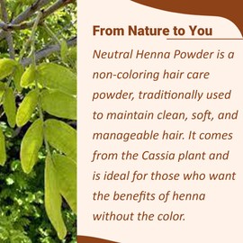 Neutral Henna powder (CASSIA OBOVATA) by mi nature | 227 g (8 oz) | Adds no colour to hair | hair conditioning | Herbal hair care