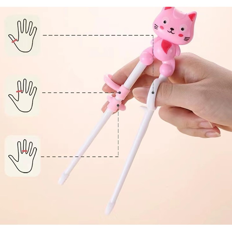 2 Pairs Training Chopsticks, Reusable Learning Chopsticks, Practice Chopsticks (A)