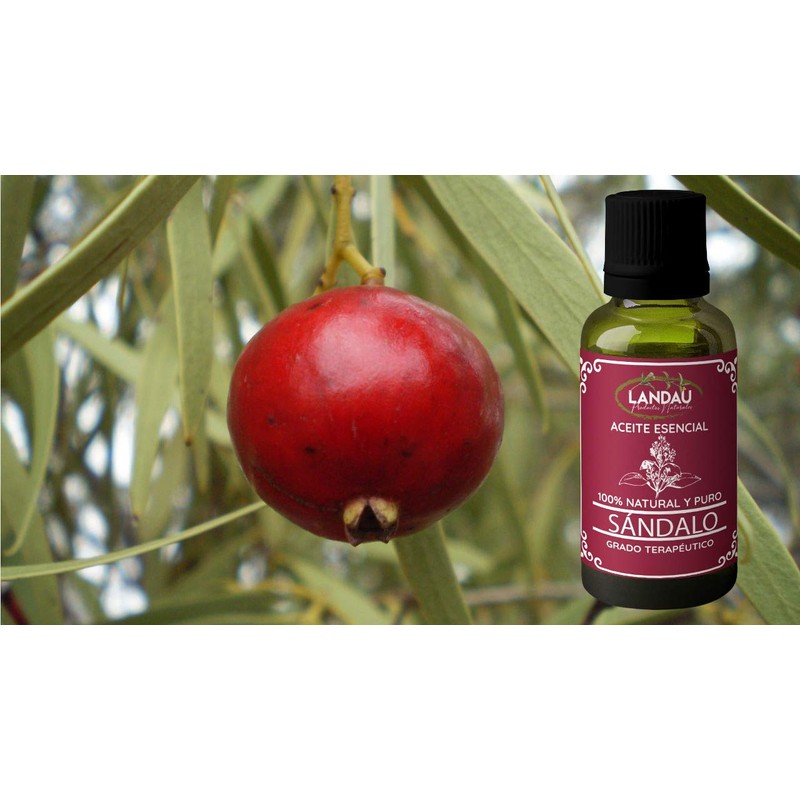 ACEITE ESENCIAL DE SANDALO 30ML