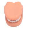 Mouth Puppet with Tongue 28 Teeth Silicone Speech Therapy Demonstration
