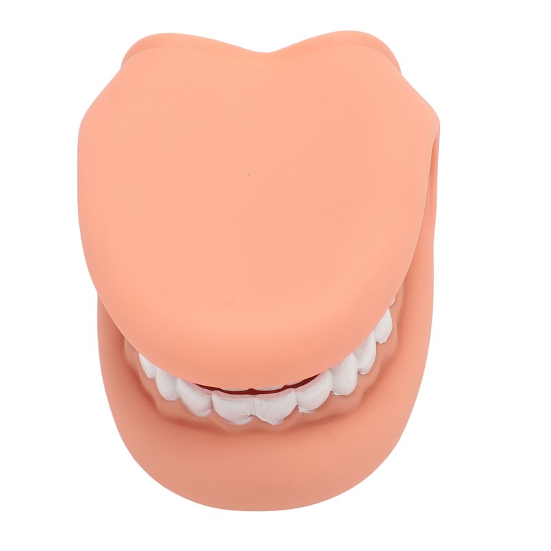 Mouth Puppet with Tongue 28 Teeth Silicone Speech Therapy Demonstration