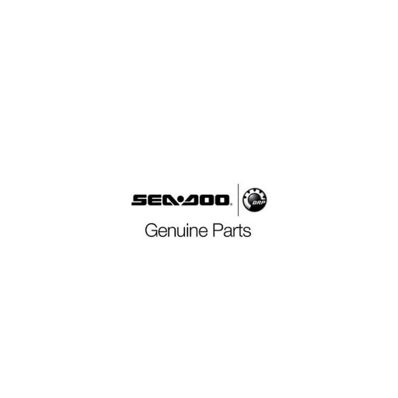 Sea-Doo OEM LinQ RXT Wake Pro Fish Pro Front Left