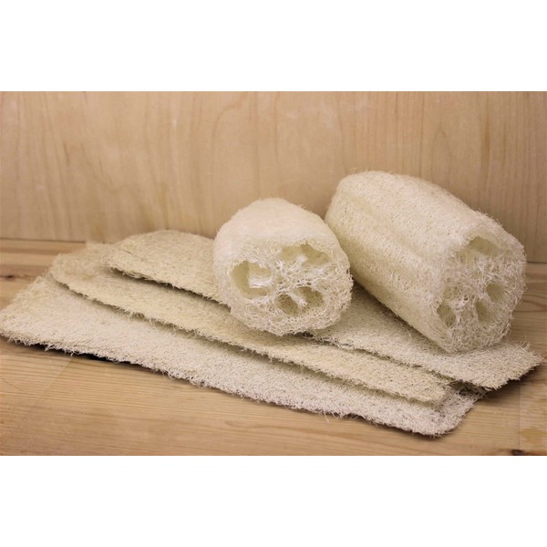 FUN AND GROW SEEDS: Seeds Egyptian Smooth Luffa Sponge Dishrag