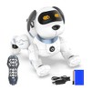 Stunt Dog YCRK16B Pet Robot Toy, Japanese Instruction Manual (English