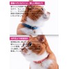 Popone Cat Collar, MUJI Cotton Plain, Safety Buckle, Bell Included,