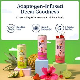 Juni Sparkling Adaptogen Drink with Ashwagandha, Lion’s Mane & Reishi Mushrooms | Green Tea for Focus, Zero Sugar, 5 Calories | Decaffeinated, Non Alcoholic Drinks - Strawberry Hibiscus 12 pack