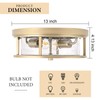 odorpower Gold Flush Mount Ceiling Light Fixture with Glass Brass