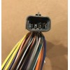 Onan Genuine Cummins Onan Energy Command (EC-30) Wiring Harness, 25'
