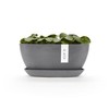 Sofia Flower Pot Collection - Designer Planter for Small Spaces