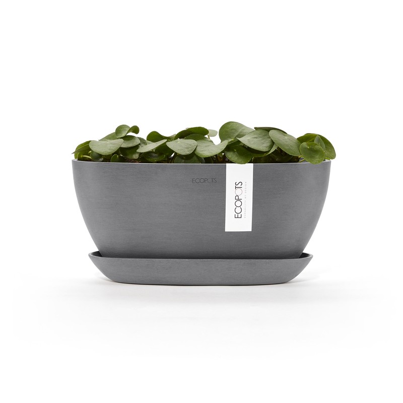 Sofia Flower Pot Collection - Designer Planter for Small Spaces