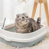 Kitten Starter Kit - 16 Pcs Cat Essentials Set Includes