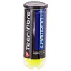Tecnifibre Champion One Tennis Ball (Case)