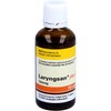 Laryngsan Plus Zinc Solution Contributes to Normal Function of the