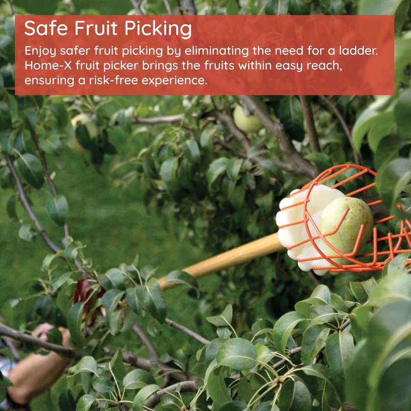 Home-X Fruit Picker Basket - Sturdy Tree Picker Tool with