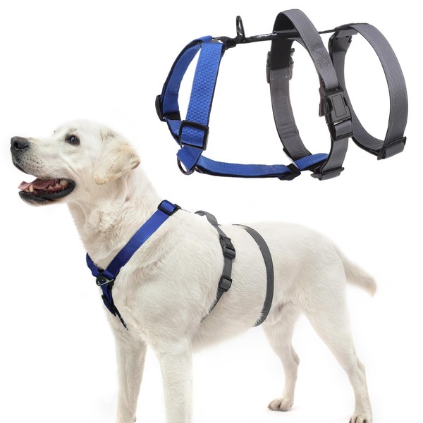 PUPTECK Escape Proof Dog Harness - No Pull Soft Padded