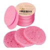 Gainwell Esponjas Faciales Comprimidas