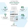 Puregen Labs Kidney-Vite | Premier Kidney, Renal Support | Non-GMO,