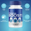 rize labs Chrono Boost Pro Capsules, Supports Sleep and Brain