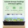 Pawfly Seed Starter Trays, 2 Pack 80 Cells Seed Starter
