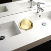 Trash Can Lid 304 Noble Gold Embedded Trash Bin Flap