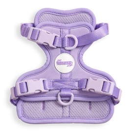 THE LICKER STORE HNS1000H Arlo Extra Small Adjustable Soft Padded No Pull Pet Harness with 3 Buckles and 3 Leash Clips, Bramble