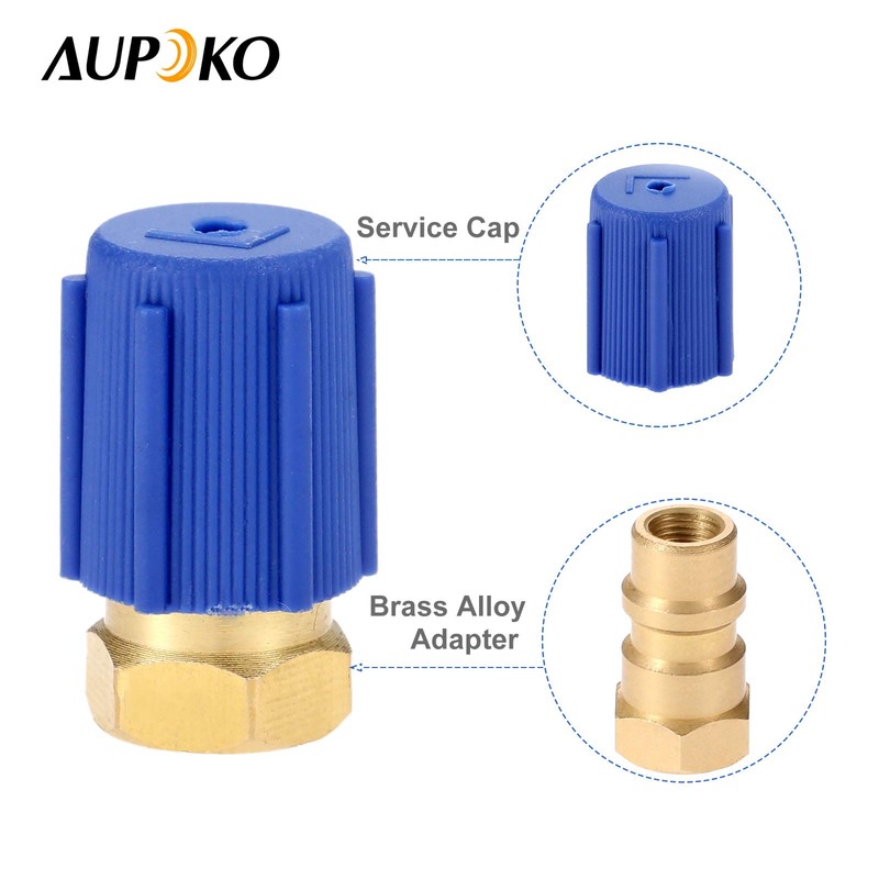 Aupoko A/C Retrofit Valve with Dust Cap, R12 R22 to