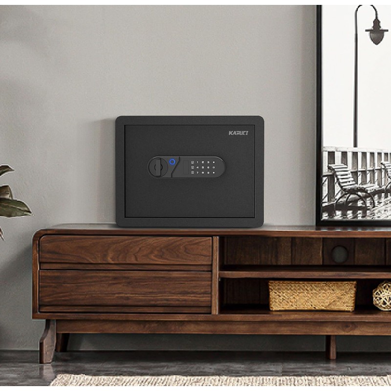 KAPUCI Biometric Fingerprint Touchscreen Small Home Security Safe (0.78 Cuft-Fingerprint)