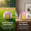 2Pcs Ice Cream Baseball Cute Drip Ice Cream Practice Baseball