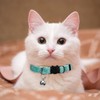 YBEATY 3 Pcs Cat Collar with Bell Breakaway Cat Collars