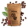 Wild Kopi Luwak, the World’s Most Exclusive Coffee, Sustainably Sourced