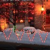 GAGALIFE 16-inch Candy Cane Lights, Outdoor Christmas Pathway Markers, 12