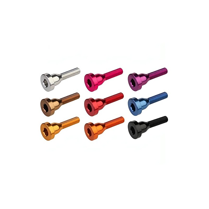 Burgtec Top Cap Bolt Rhodium Silver