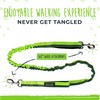 Mighty Paw Hands Free Dog Leash | Bungee Waist Leash