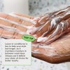 Imbue Coil Rejoicing Leave In Conditioner - Vegan and Curly