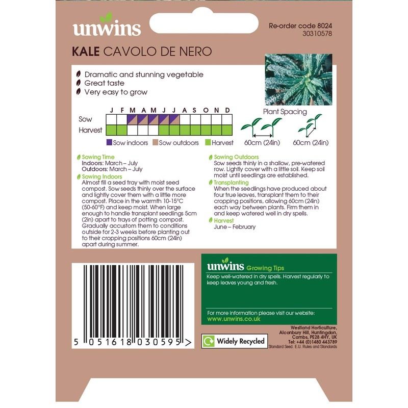 Unwins 30310578 Kale Cavolo de Nero Seeds, Clear
