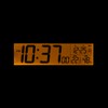 RHYTHM Fit Wave D237 8RZ237SR08 Alarm Clock, Radio Clock, Electronic