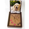 PawPals Paw Print Keepsake Classic Mold Kit - BRAND NEW