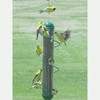 Bird Quest SBF2G 17" Spiral Thistle Bird Feeder - Green