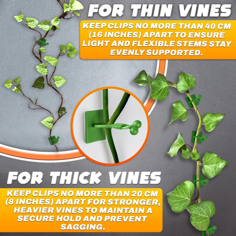 Plant Wall Clips for Climbing Plants 110 Pcs - Pothos