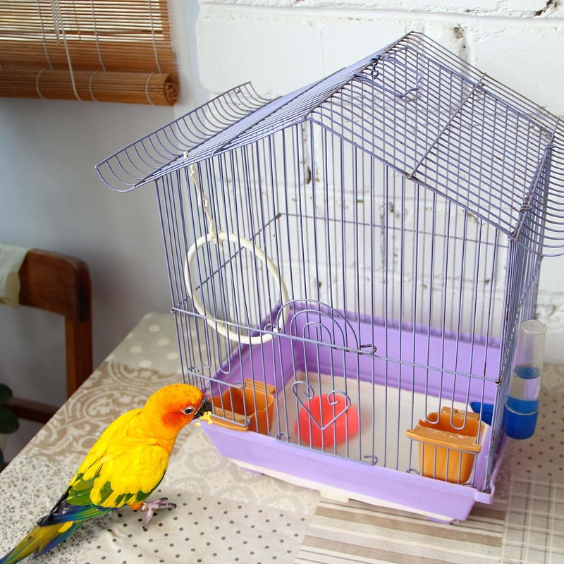 Drydiet 100 ft x 11 Inch Bird Cage Liner Disposable