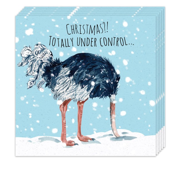 Twizler Lustige Weihnachtskarten, 12 Stück, Straußen-Design, 12 Stück