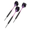 Darts Metal Tip Set Professional Darts with Stylish Case Steel