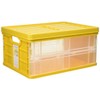 Nakabayashi CFC-TC-301KY Therapy Kids Color Folding Container with Mini Lid