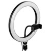 CLAR 10" LED Selfie Ring Light Kit