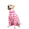 Miaododo Surgery Recovery Suit Female Male for Dogs After Surgery