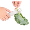 Stainless Steel Leaf Herb Stripper, LooseLeaf Kale, Chard, Collard Greens